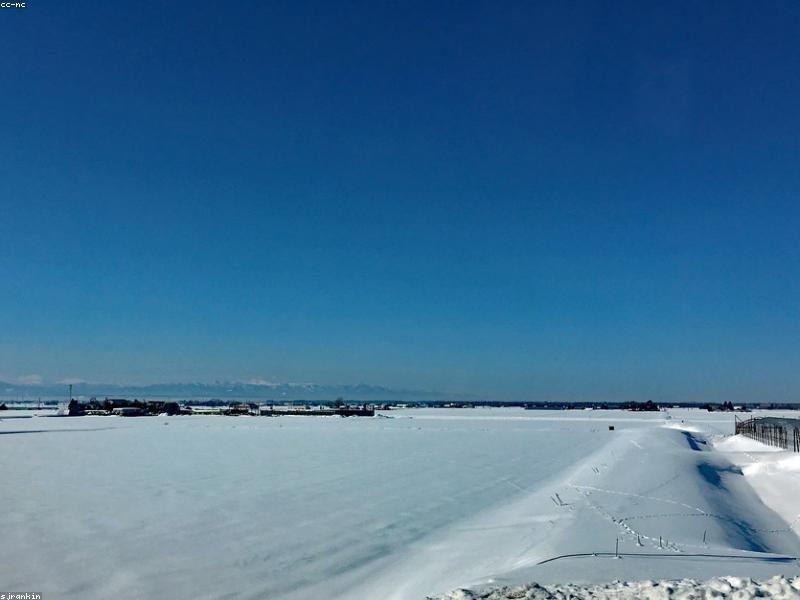 Hệ thống tưới