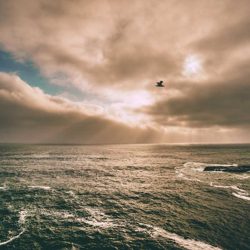 Đồng hồ bỏ túi