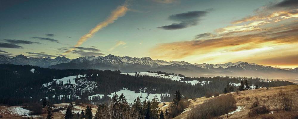 Professional Analytics Dashboard Bloomberg style