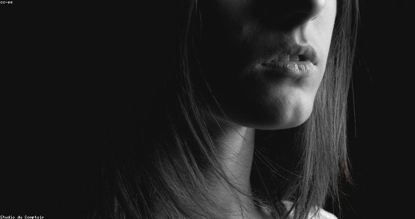 Thú cưng trải nghiệm dịch vụ tại triển lãm