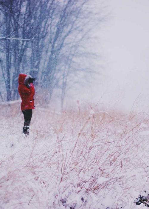 Botany study lifestyle 2026