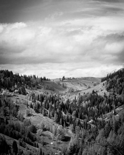 Thiết kế Glass Card