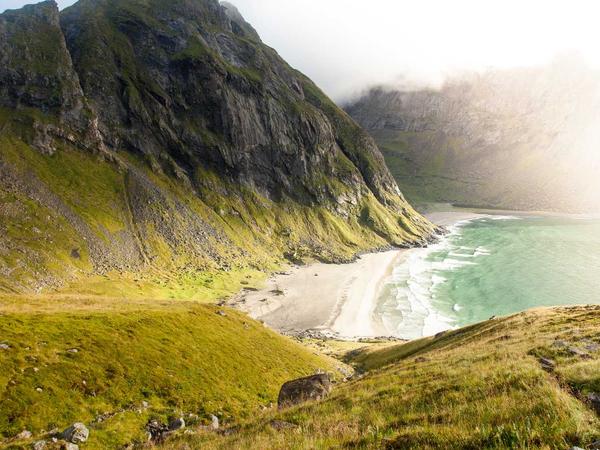 Công nghệ Polymer 2026