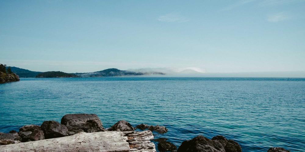 Grilling Wagyu Steak