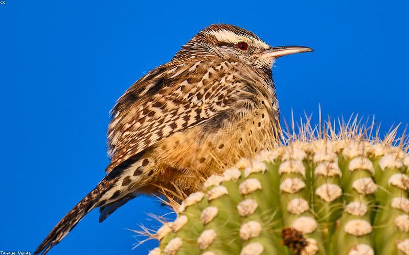 Máy lọc không khí thiết kế bền vững