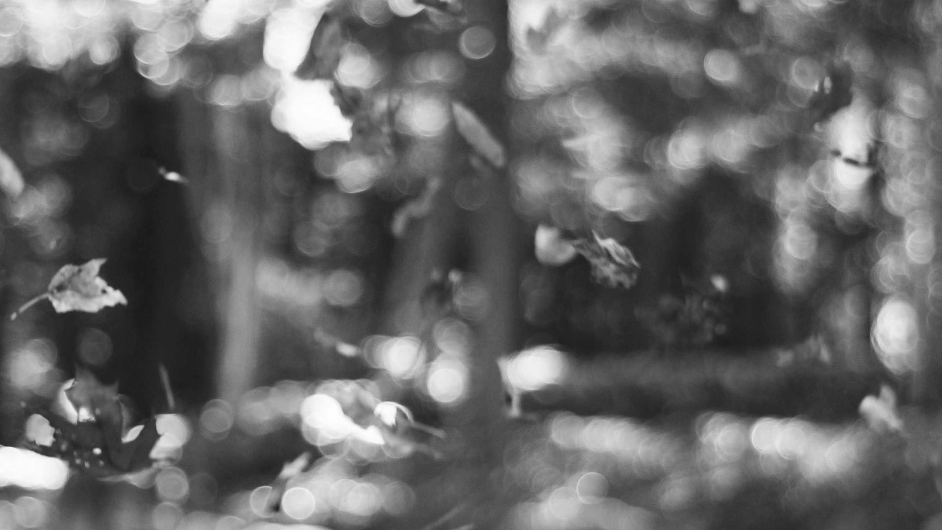 Fashion Editorial 2026