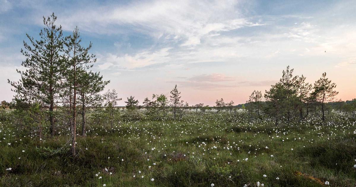 Du lịch Việt Nam đón 12,7 triệu khách quốc tế trong 10 tháng: Bứt tốc hoàn thành mục tiêu 18 triệu lượt khách năm 2024