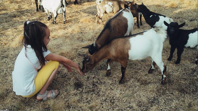 Họa tiết mùa hè năng động