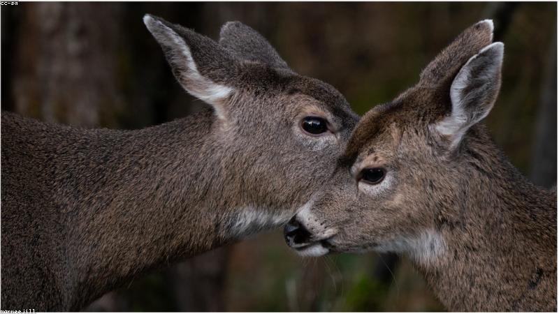 Chăm sóc bé yêu cùng BabyGear Hub