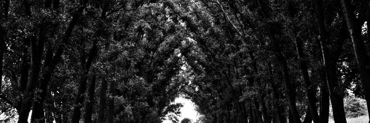 Xu hướng kính mắt trẻ em 2026