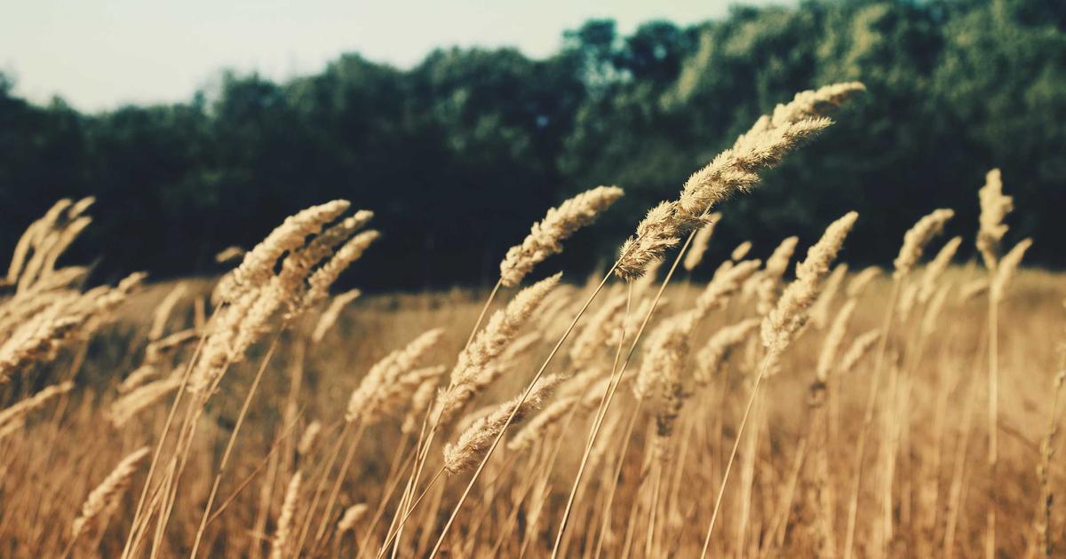 Tư duy sáng tác nhạc Indie: Làm sao để giữ chất mộc giữa thị trường âm nhạc số?