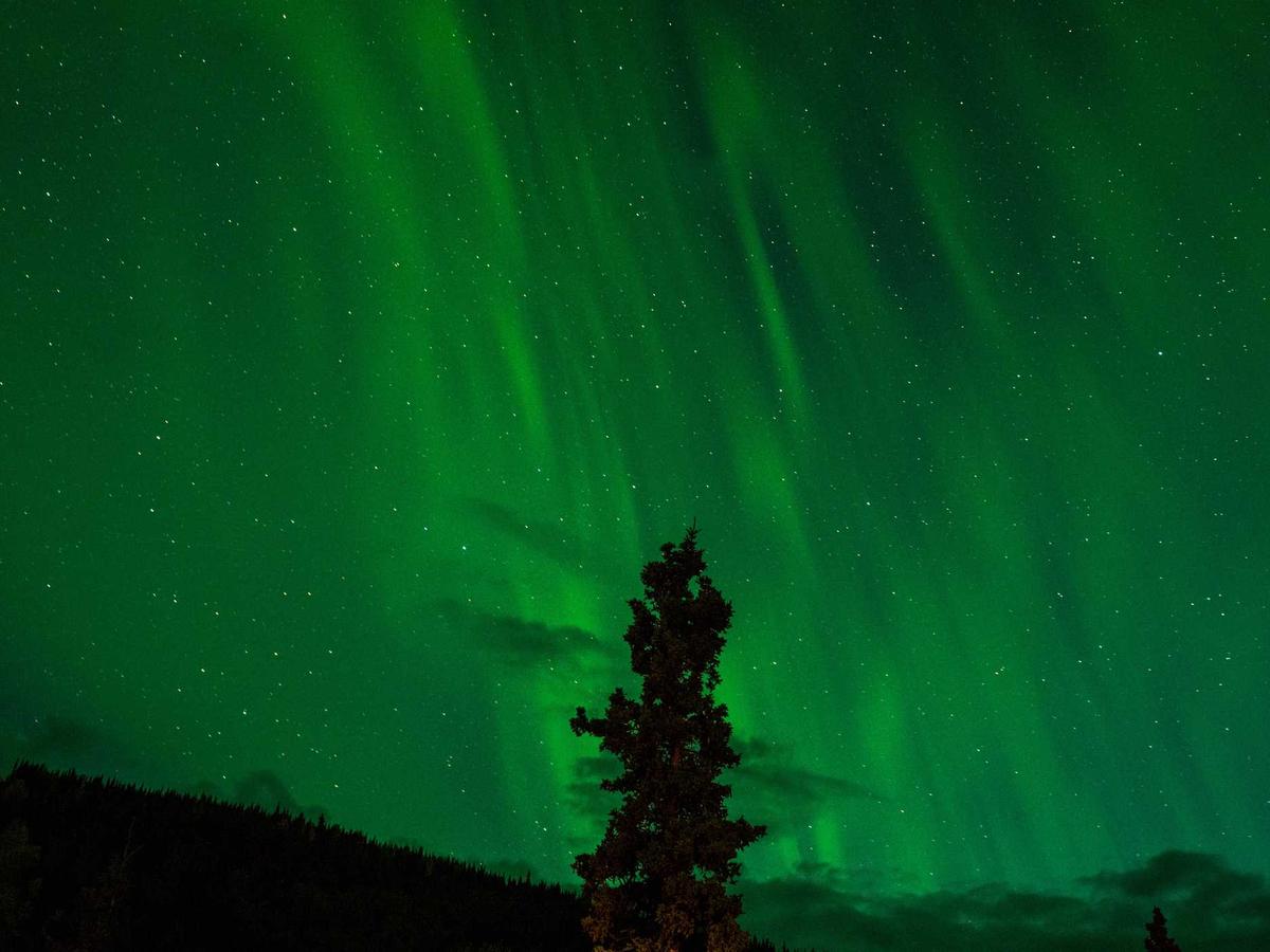 Julian Vance Portrait