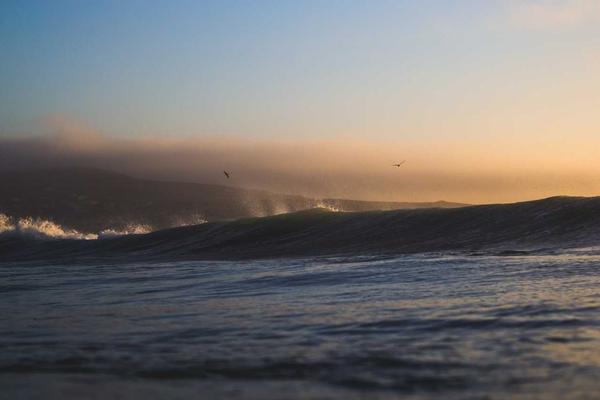 Dữ liệu tập trung