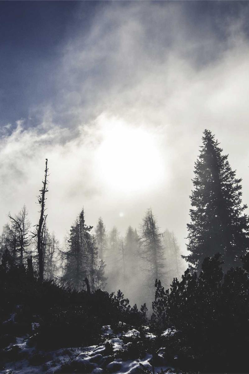 SkinLab Pro Serum Elegance