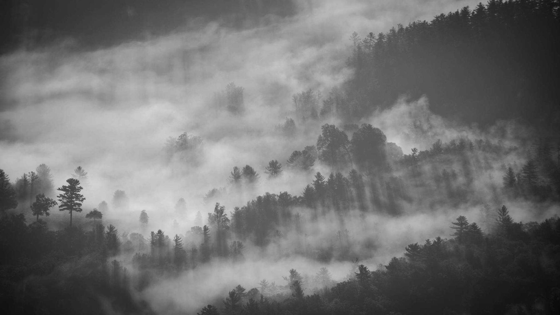 High mountain landscape for web design analysis