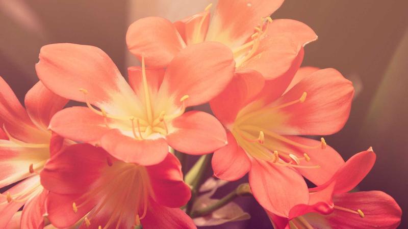 Thủ tục tài chính số 2026