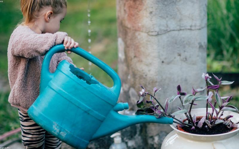 Sống xanh cùng BambooHome