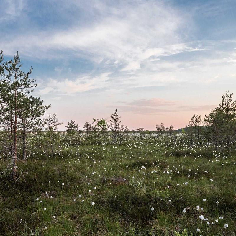 Váy Ngủ Lụa Hai Dây Phối Ren 2