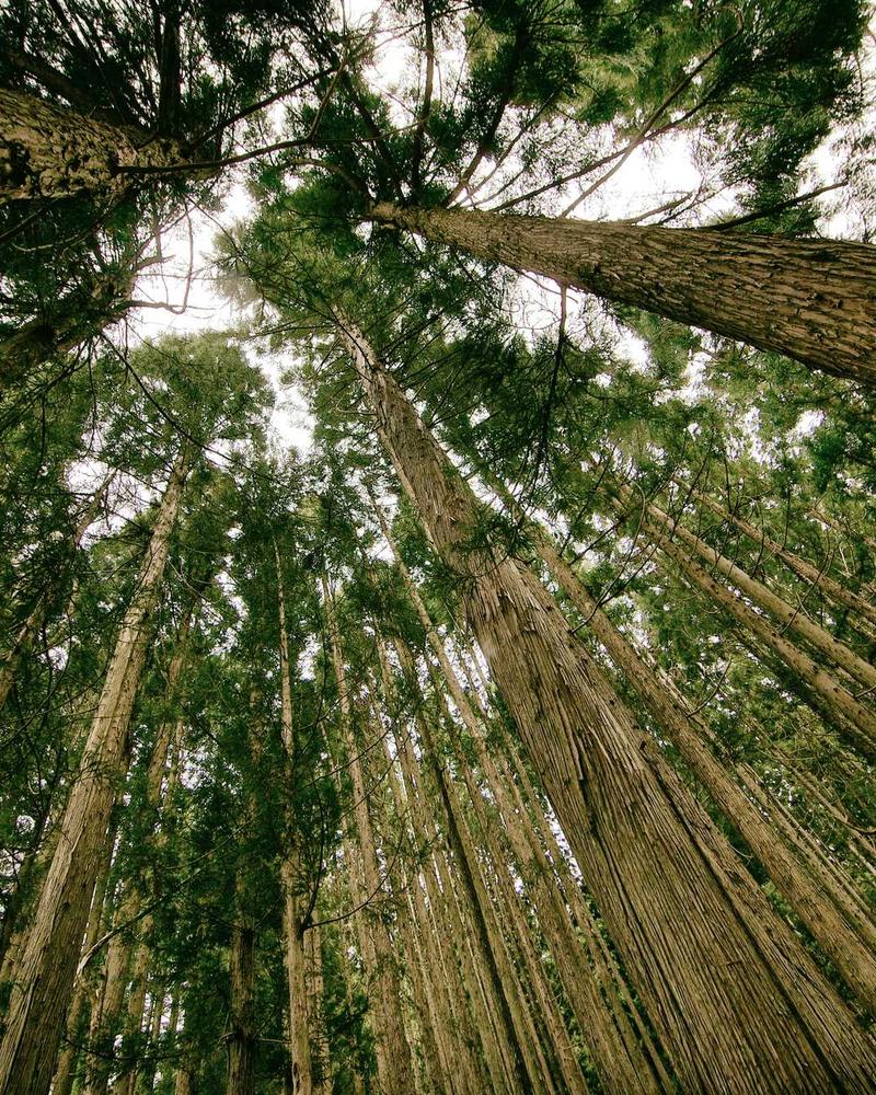 Cơ sở y tế cao cấp Singapore