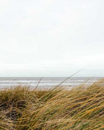 Liquid Motion Desktop 2026