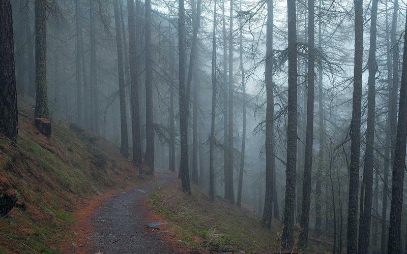 Luxury Design Concept