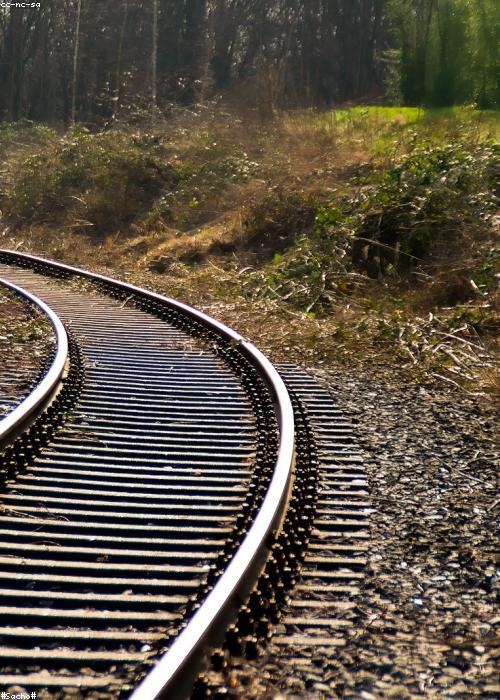 Bìa đĩa nhạc nghệ thuật