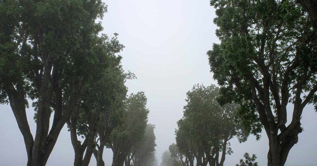 75% doanh nghiệp Việt khát nhân lực chất lượng cao: Cơ hội cho lao động có kỹ năng số trong năm 2024