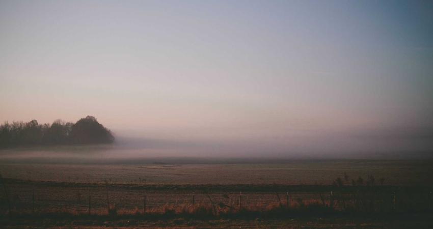 Môi trường làm việc số 2026