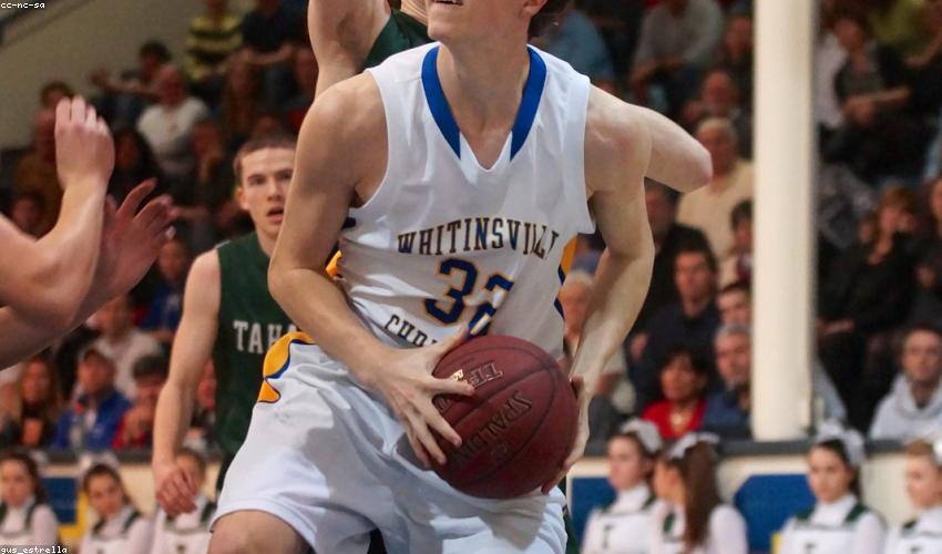 Giỏ rau thu hoạch tại Green Valley