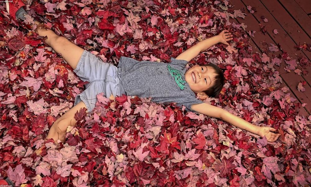 Bé cười rạng rỡ tại ToyBox Studio