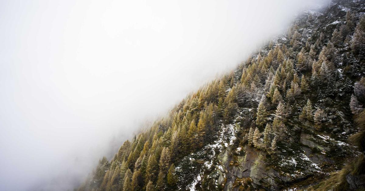 Tăng follow TikTok triệu view