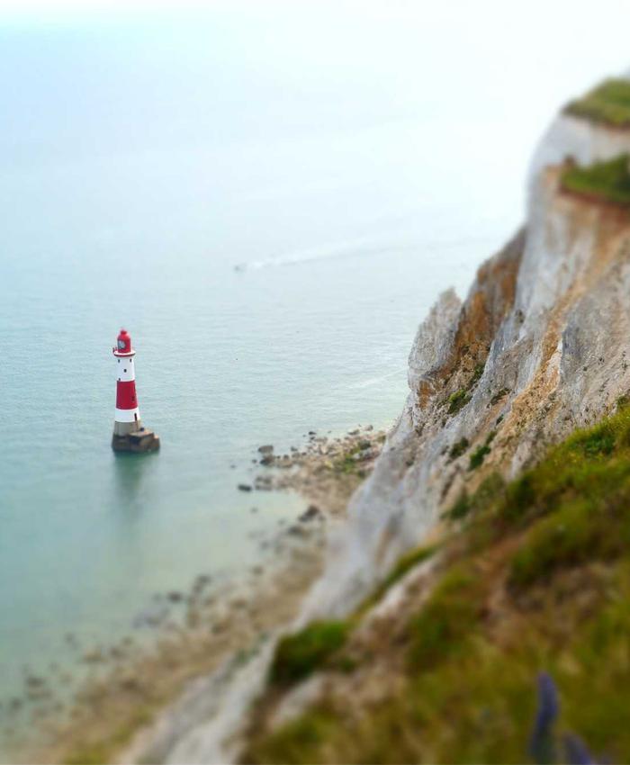 Trung tâm Speech Therapy Kids