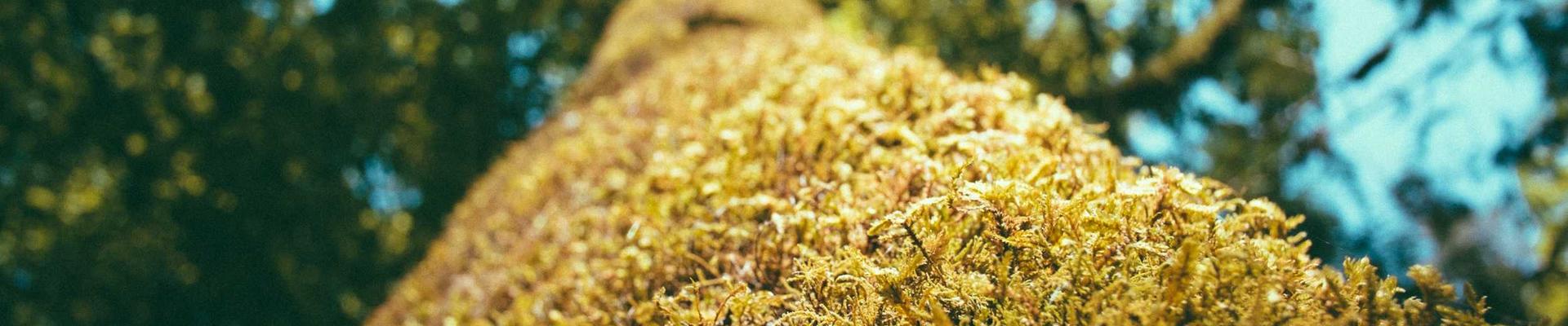 Hospital location map placeholder