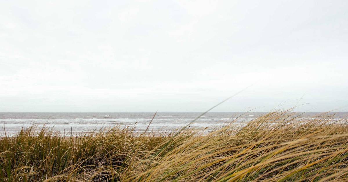 Xu hướng làm gốm 'Healing': Vì sao lớp học làm gốm PotteryLab thu hút giới trẻ?