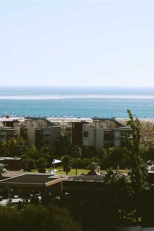 Materialist Toàn Kelp-Wrap