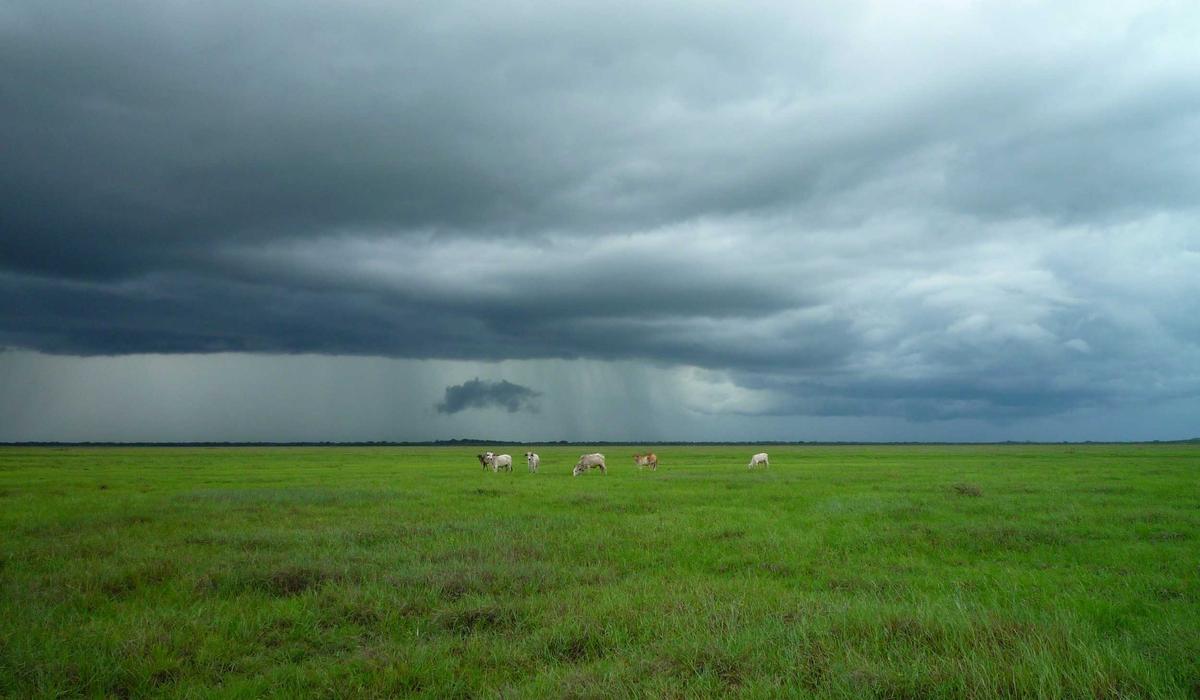 Năng lượng tái tạo trên mái tre