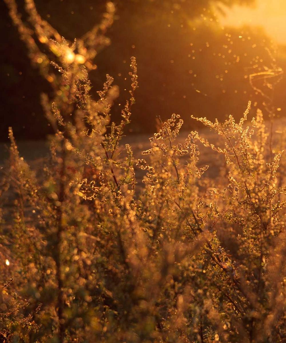 Xưởng may cao cấp