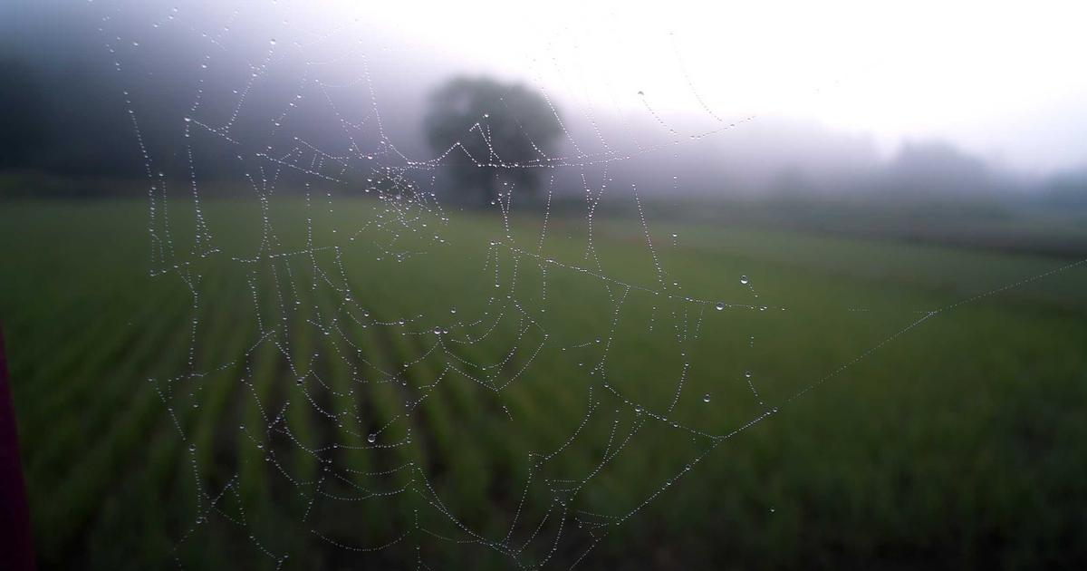 Case Study: Cách Mentor Lê Đình Phúc hỗ trợ Startup công nghệ gọi vốn thành công 1 triệu USD