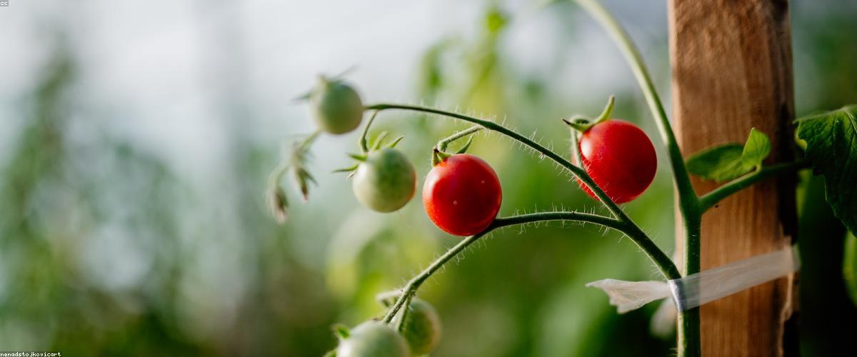 Tương lai công nghệ