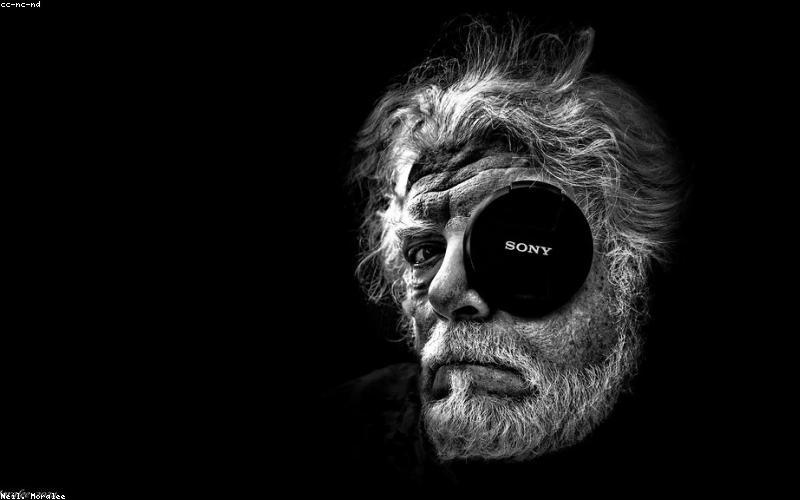 Old Money Blonde Trend 2024