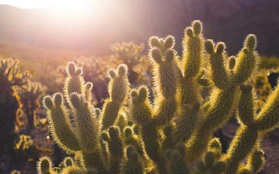 Blitz Strategy Course