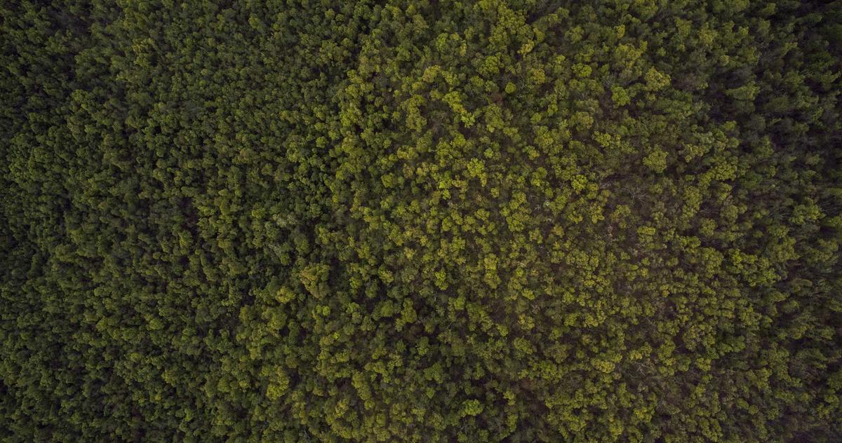 Neuro Storytelling training