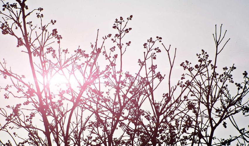 Bioplastic Vinyl Production 2026