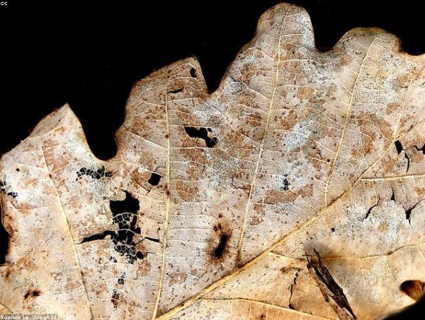 Cung đường di sản