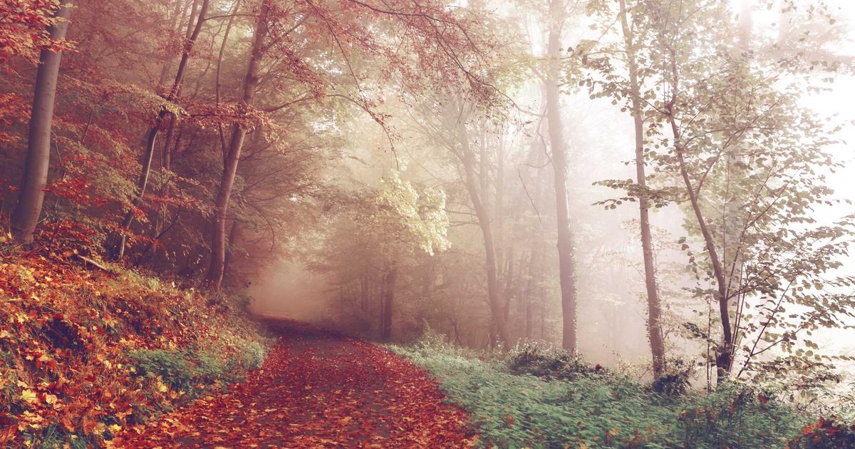 Phân Tích Giá Trị Của Dịch Vụ Quay Phim Phóng Sự Cưới Trong Ngày Trọng Đại