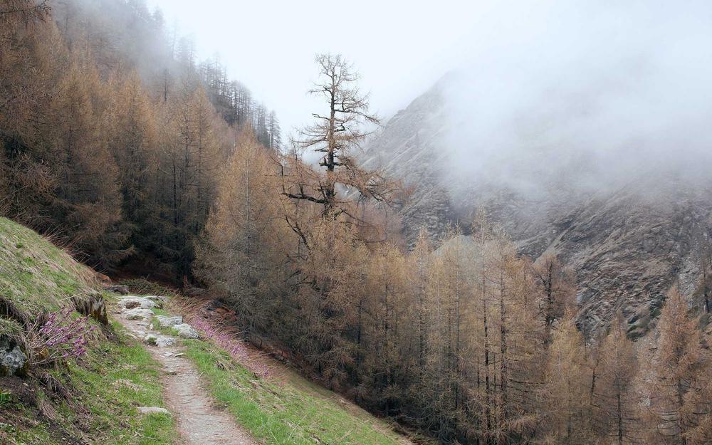 Lattice Encryption Project