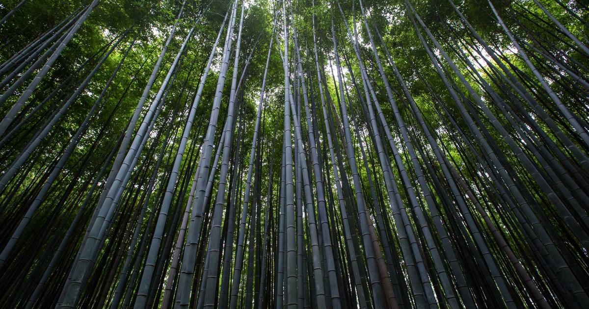 Top 5 Xu Hướng Trang Trí Tiệc Cưới Bùng Nổ Năm 2024 Từ Sapphire Wedding