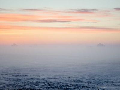 Thảm dệt tảo biển