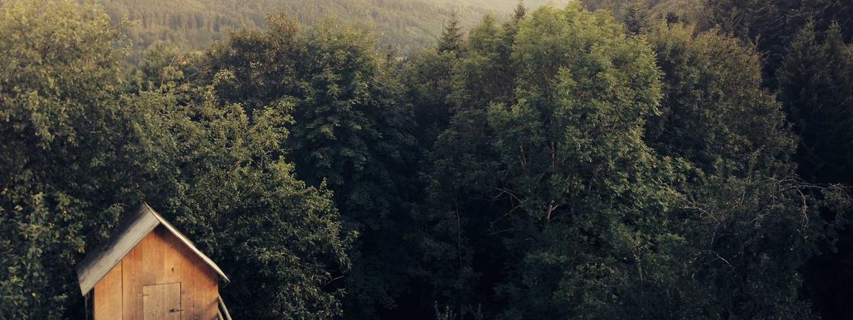 Predictive Analytics Dashboard