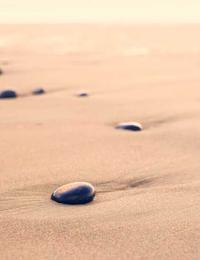 Chemist Trâm Profile